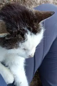 Tommy, Würzburg
