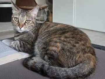 Mimi, Hochheim am Main