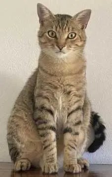 Lucky, Mössingen