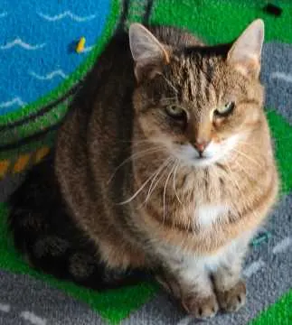 Sally, Berlin