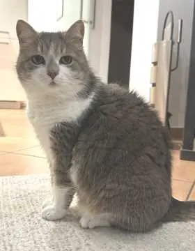 Mimi, Stuttgart