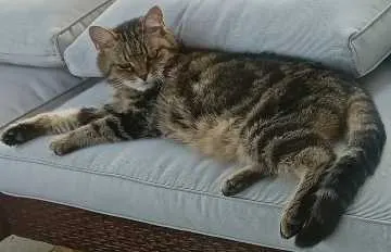 Mika, Schwaikheim