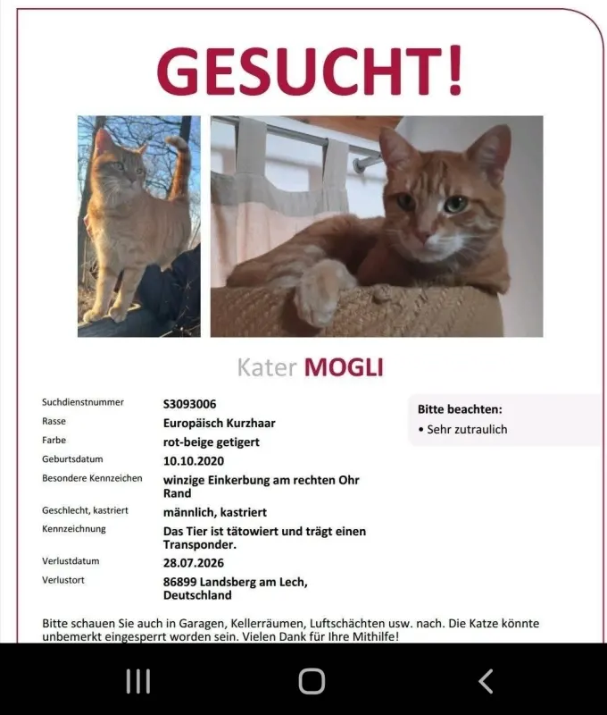 Mogli, Landsberg am Lech
