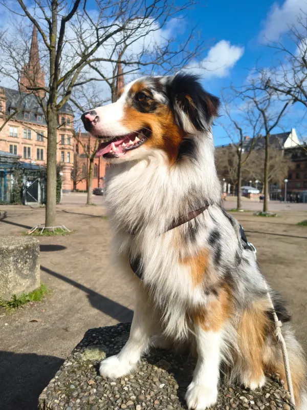 Twixi, Landsberg am Lech