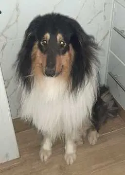 Hero, Düsseldorf