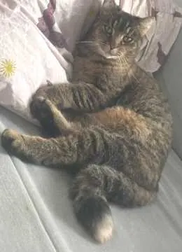 Lilli, Bamberg