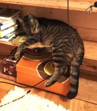 Loki, Bruckmühl