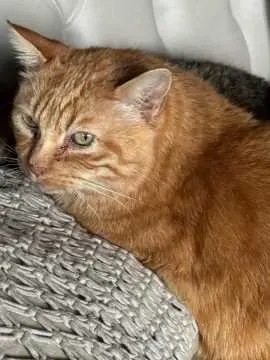 Rudi, Wandlitz