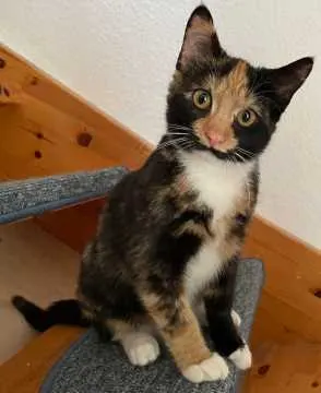 Flori, Berlin