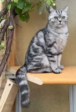 Pablo, Bad Pyrmont