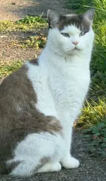 Kasimir, Vlotho