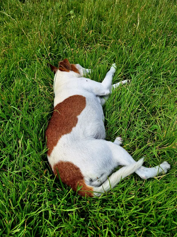 Lilly, Fürth