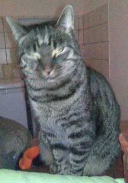Sammy, Nürnberg