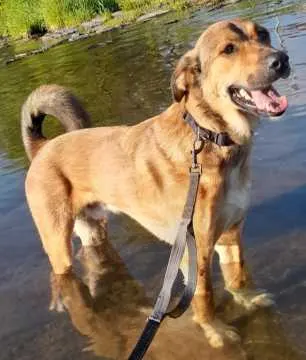Bruno, Windeck