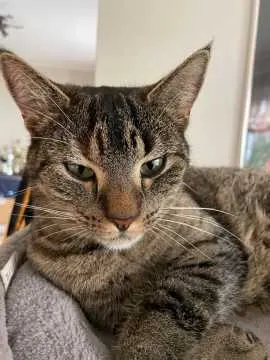 Elli, Löhne