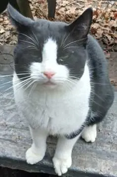 Keesje, Ahaus