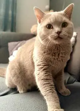 Teddy, Espelkamp