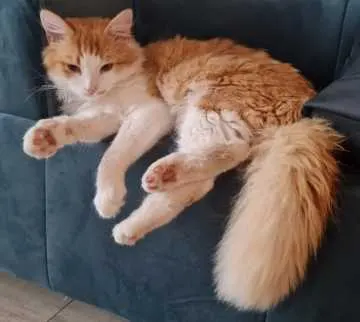 Bruno, Eschwege