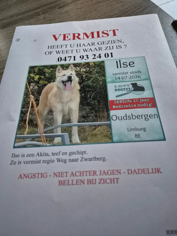 Ilse, Dilsen
