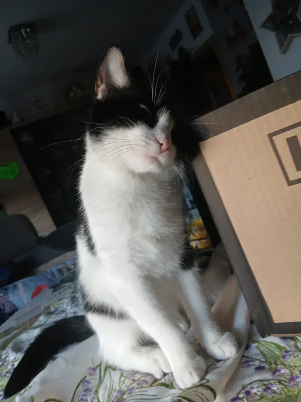 Mimi, Chemnitz