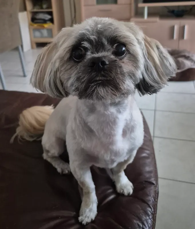 Milo, Remicourt