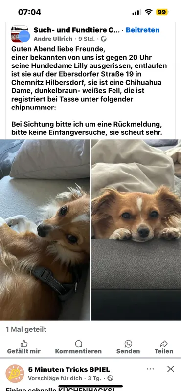 Lilly, Chemnitz