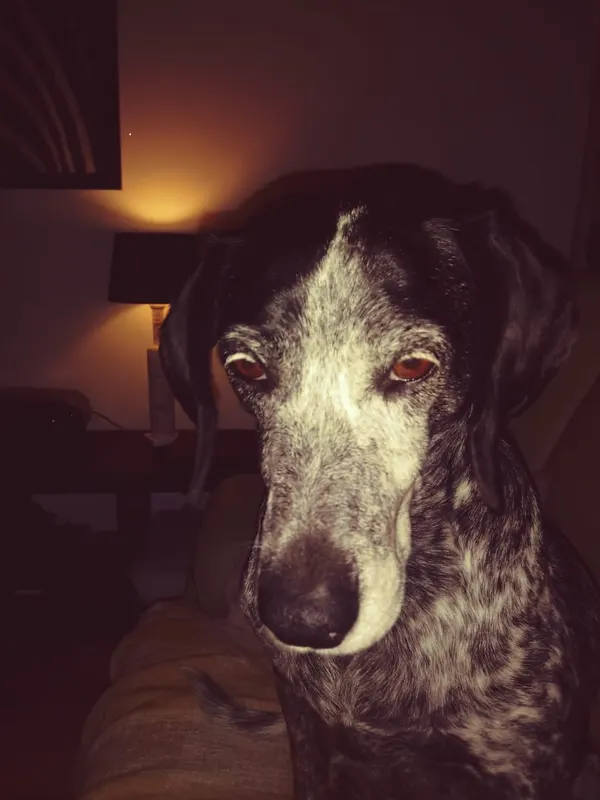 Patty, Chemnitz