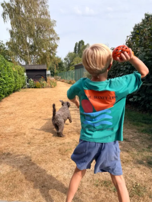 Sooki, Gullegem