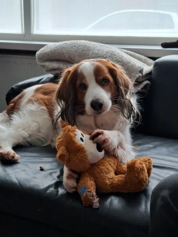 Billy, Moorsele