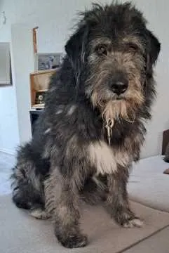 Betty, Burkhardtsdorf