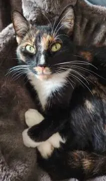 Coco, Schwedt/Oder