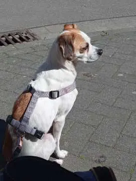 Luna, Weinheim