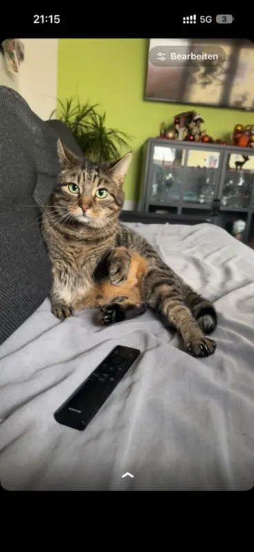 Charly, Tettnang
