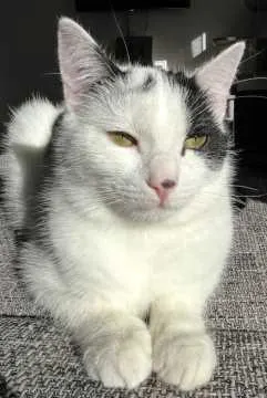 Coco, Püttlingen
