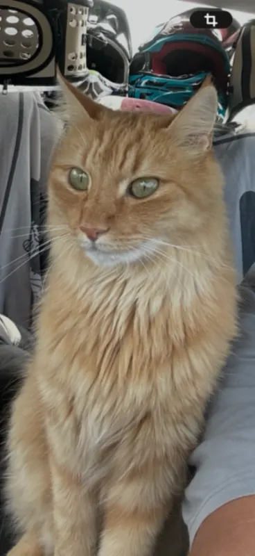 SIMBA, Stuttgart-Ost
