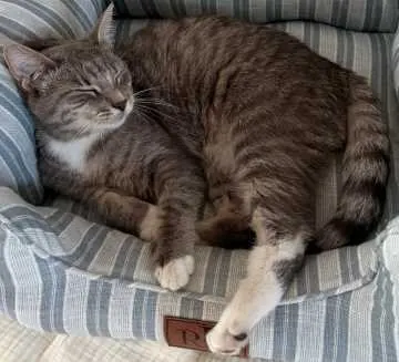 Suki, Köln