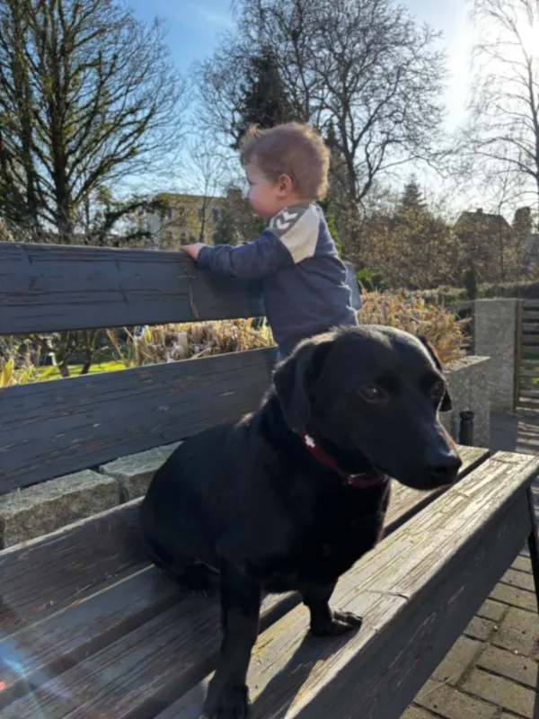 Polo, Flensburg