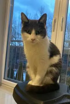 Lilu, Schorndorf