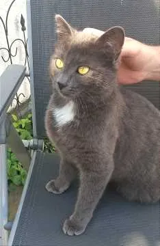 Lilli, Buxheim