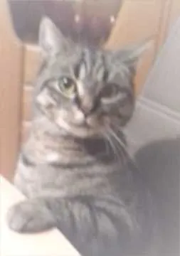 Felix, Engelskirchen
