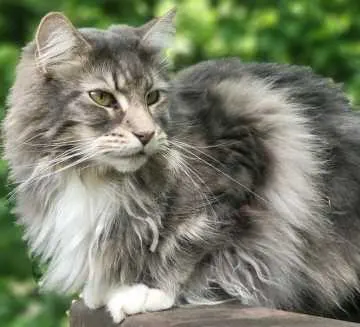 Nano, Gronau (Westf.)