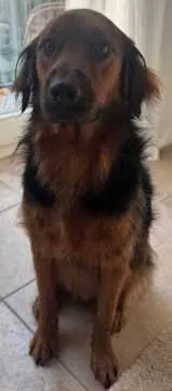 Max, Kleinmachnow