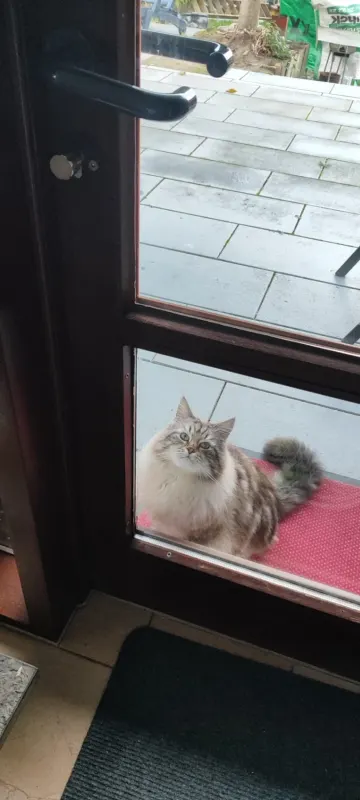 Puschen, Geesthacht