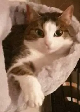 Sunny, Bad Laasphe