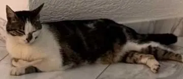 Lucy, Bad Säckingen