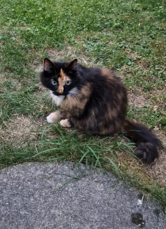 Mimi, Waldkraiburg