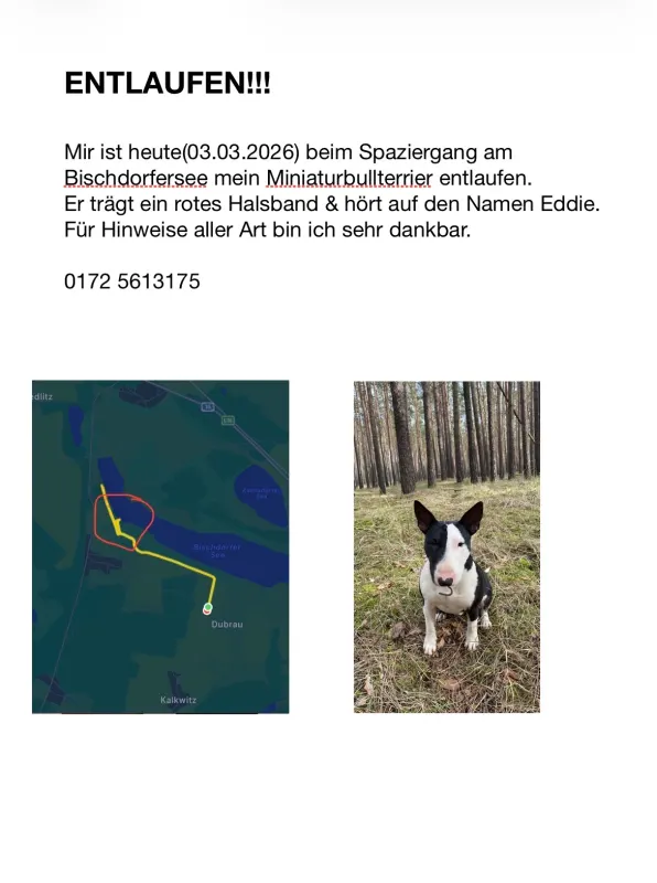 Eddie, Lubnjow