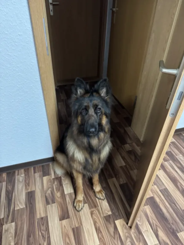 Lucy, Schwedt (Oder)