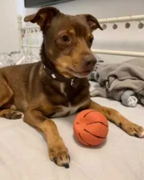 Chico, Schlüchtern