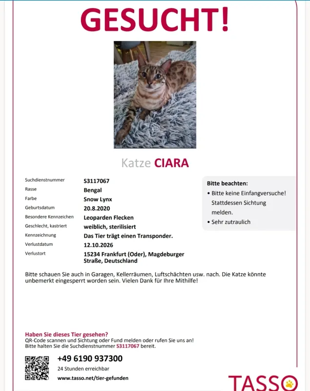 Ciara, Frankfurt (Oder)